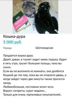 Прикрепленное изображение: k927O7fbSeM.jpg